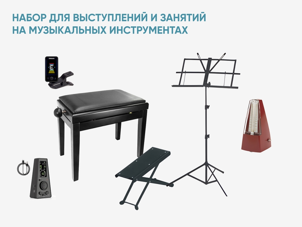 Набор для выступлений и занятий на музыкальных инструментах
