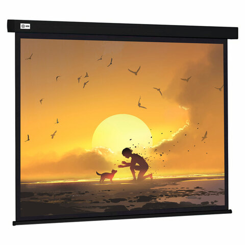 Экран Cactus Wallscreen CS-PSW-150X150-BK, 150x150 см, 1:1, настенно-потолочный, черный